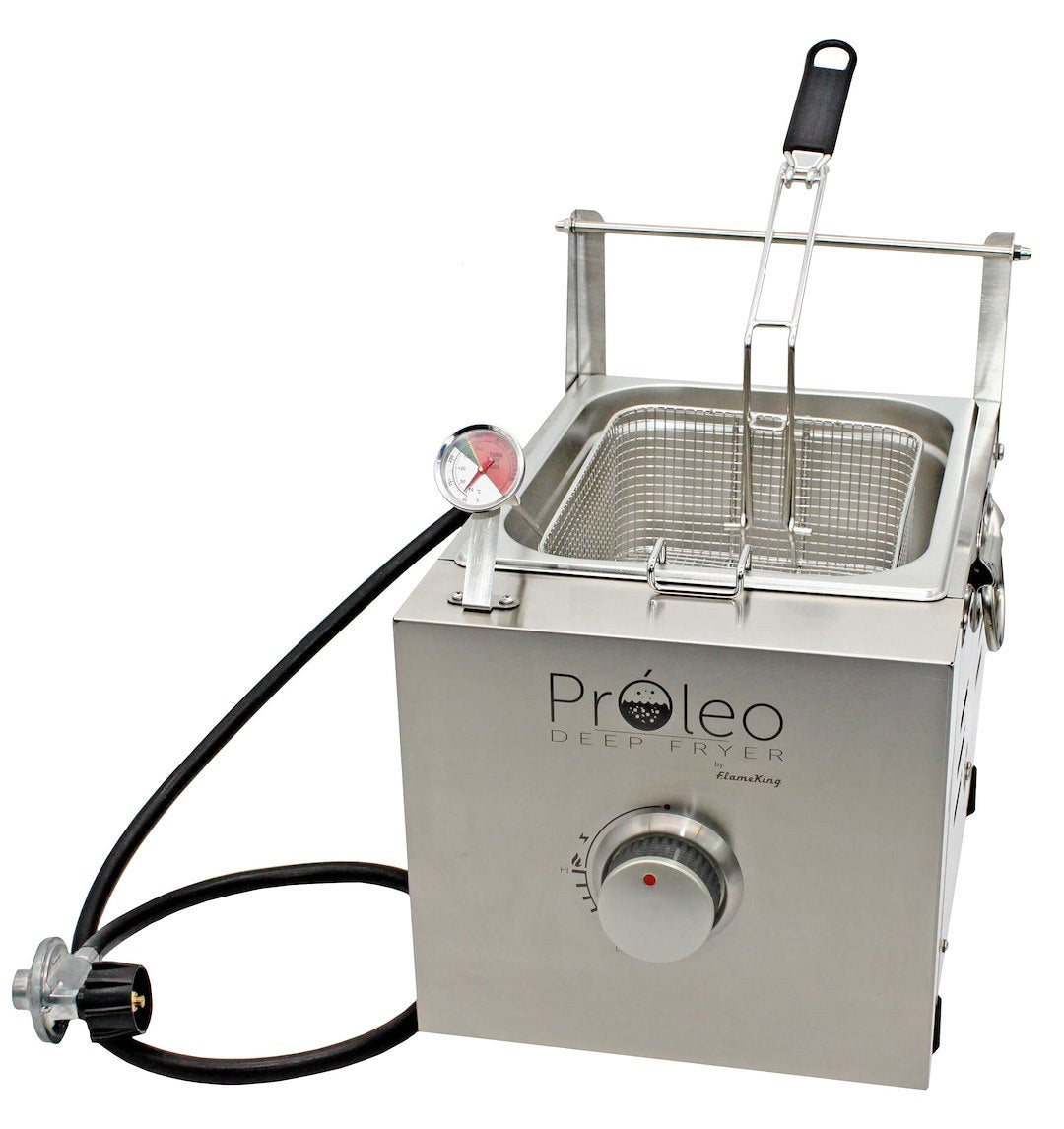 Flame King Proleo Fryer - image 1