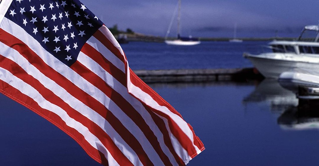 Taylor Made 8418 Flag - image 7