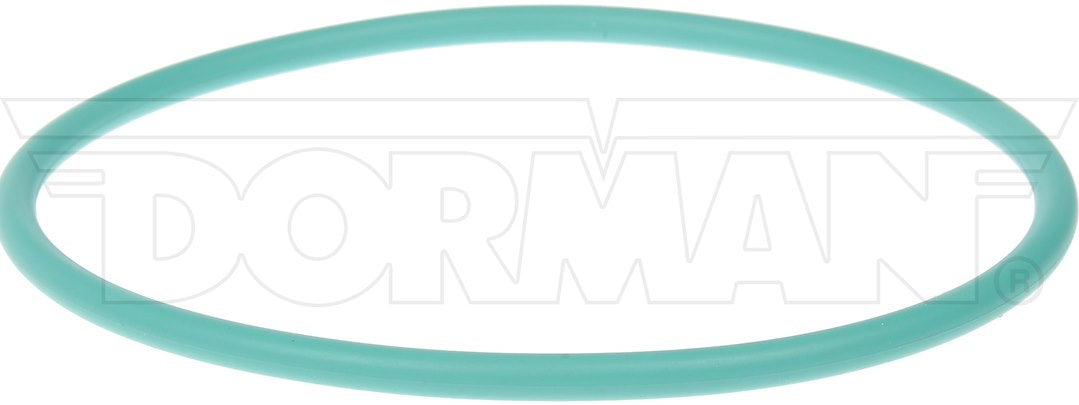 Dorman (OE Solutions) 911-245 Transfer Pump and Fuel Tank Seal - image 2