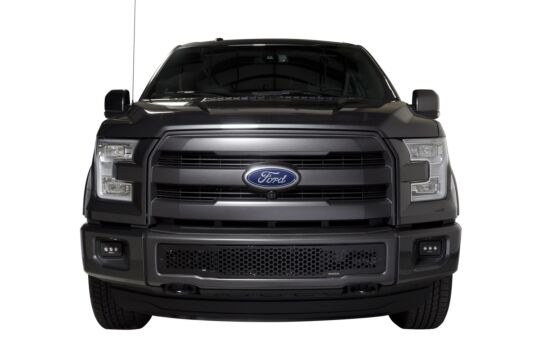 Putco 88160 F-150 Punch-Style Bumper Insert