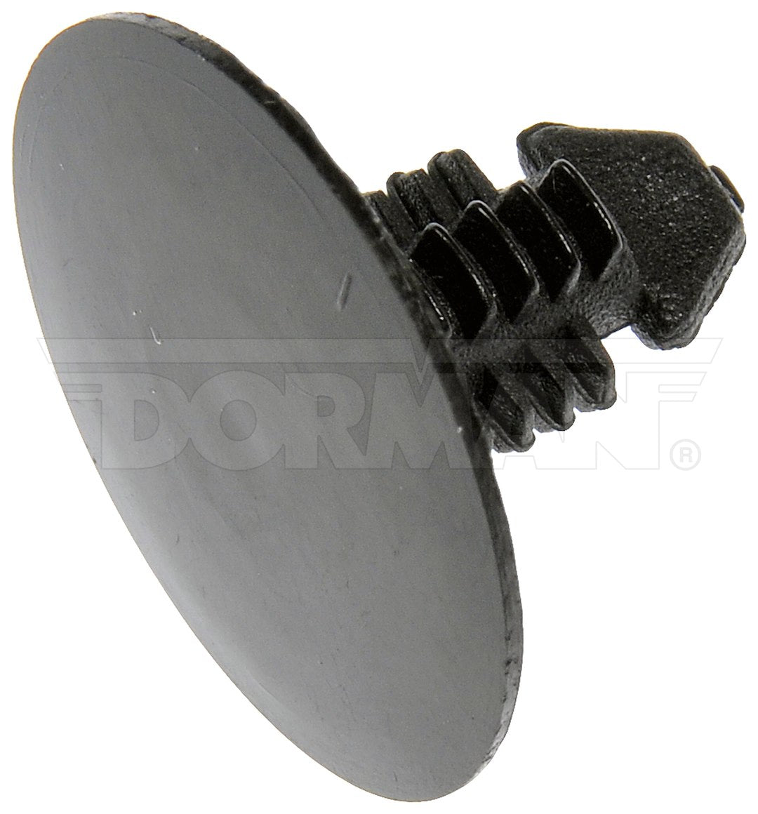 Dorman OE Solutions 963-007d Plastic Push-In Rivet Set - image 1
