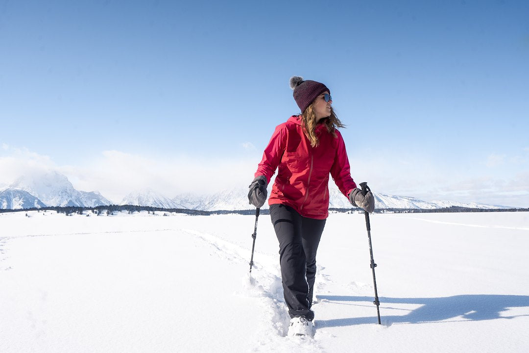 Airhead 83-0149 Walking Poles - image 4