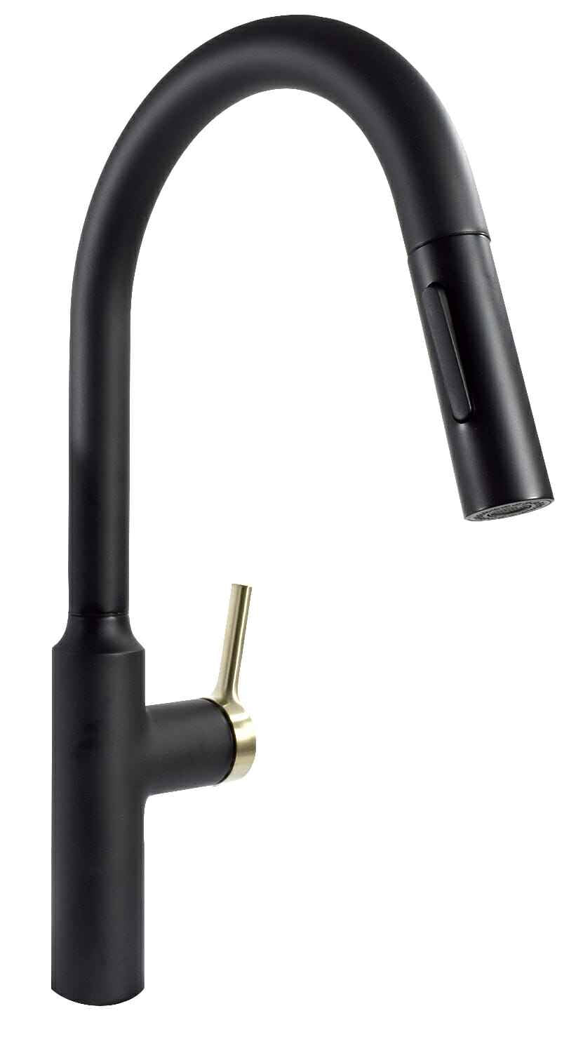 Phoenix Products Kitchen Faucet - Black/Gold – PF231780