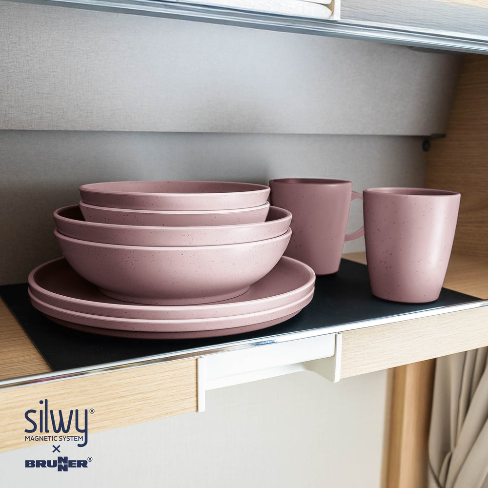 Silwy Magnetic Sybr-Kgs-11-R Dish Set - image 2