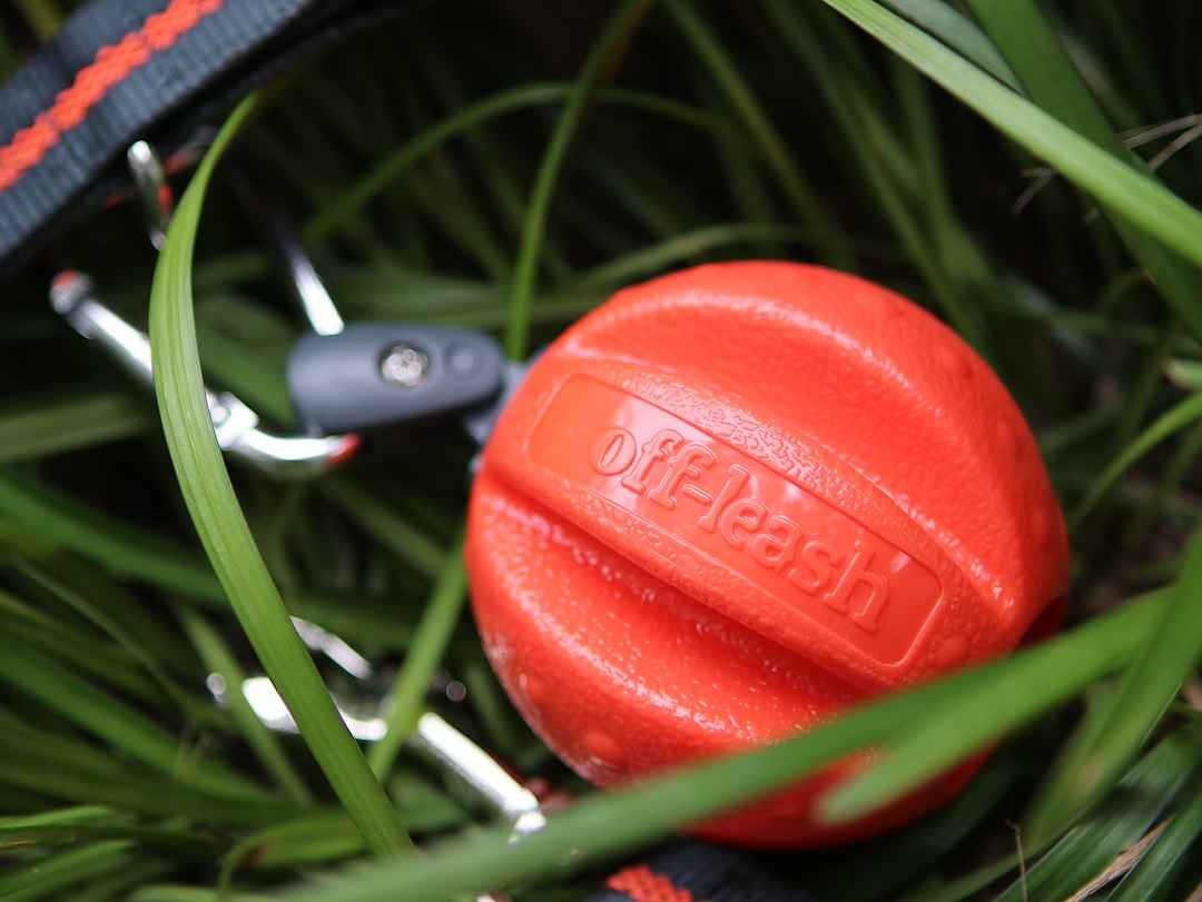 Dexas International PWT0112027 Off Leash Reaction Ball for Dogs