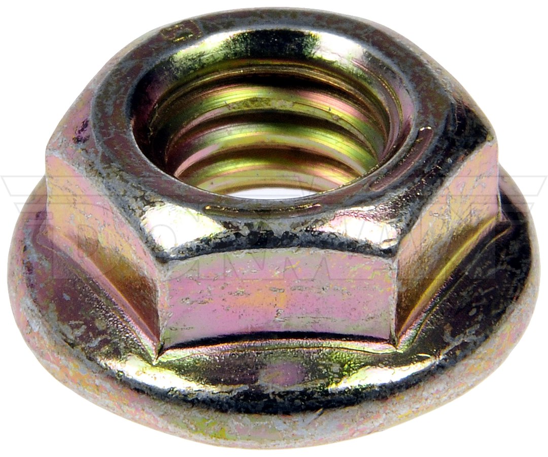 Dorman OE Solutions 962-011d Flanged Hex-Nut Set - image 1