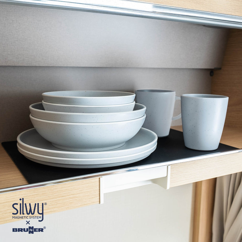 Silwy Magnetic Sybr-Kgs-11-Lg Dish Set - image 2