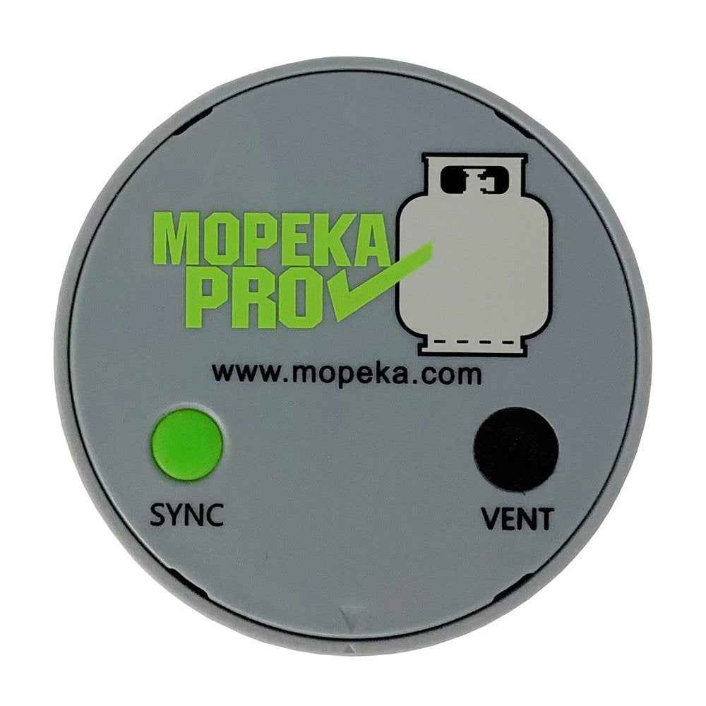 AP Products LP Pro Check Bluetooth Sensor with Magnets – 024-2002