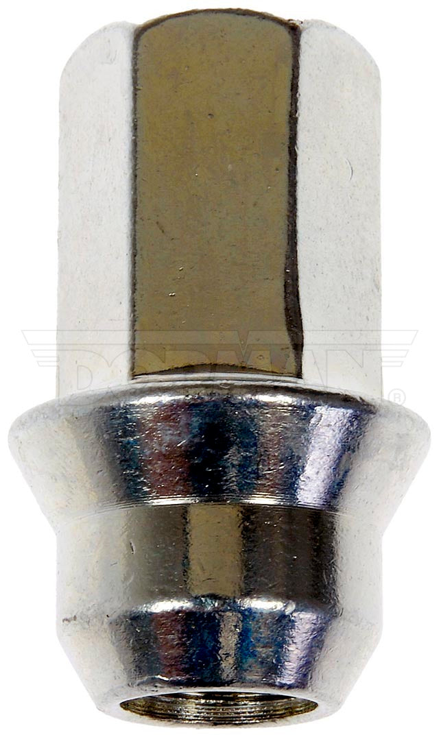 Dorman 611-181 AutoGrade Natural-Finish Cap Nut Set - image 1