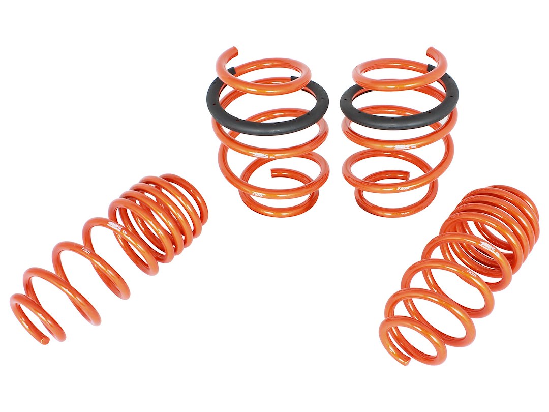 Advanced FLOW Engineering 410-701001-N Civic Lowering Springs