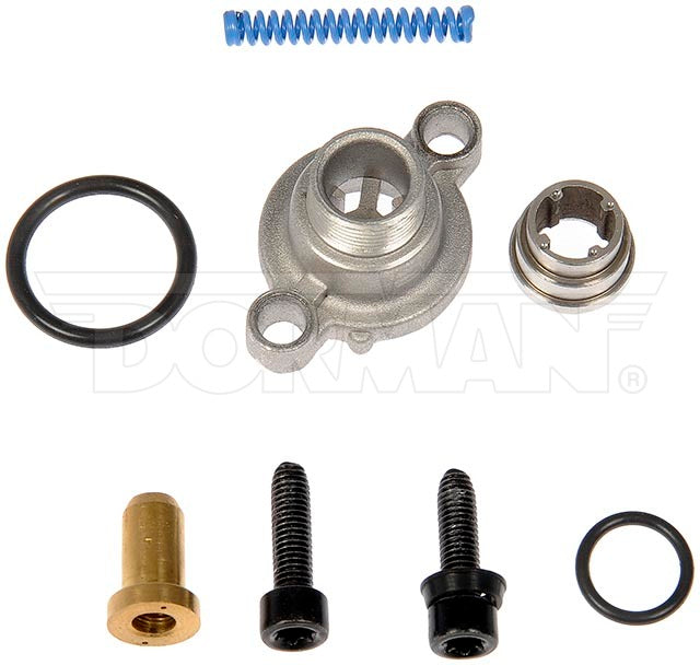 Dorman (OE Solutions) 904-458 Replacement Fuel Pressure Relief Cap - image 1