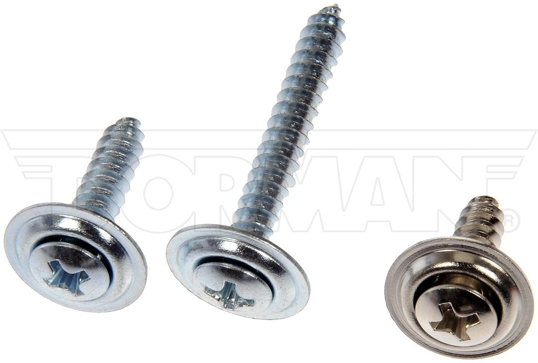 Dorman OE Solutions 961-225d Assorted Oval-Head Trim Fasteners - image 1