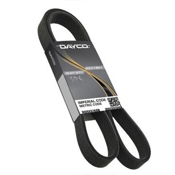 Dayco 5081059 Gold Label Poly Rib Drive Belt - image 1