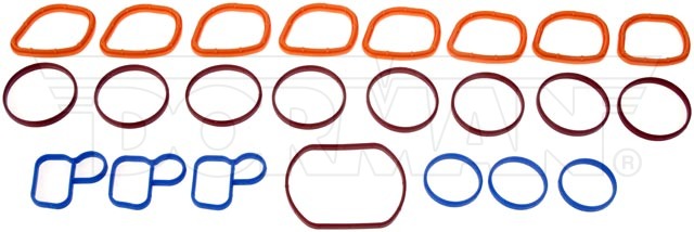 Dorman 615175GA Ford, Lincoln and Mercury Intake Gasket Kit - image 1