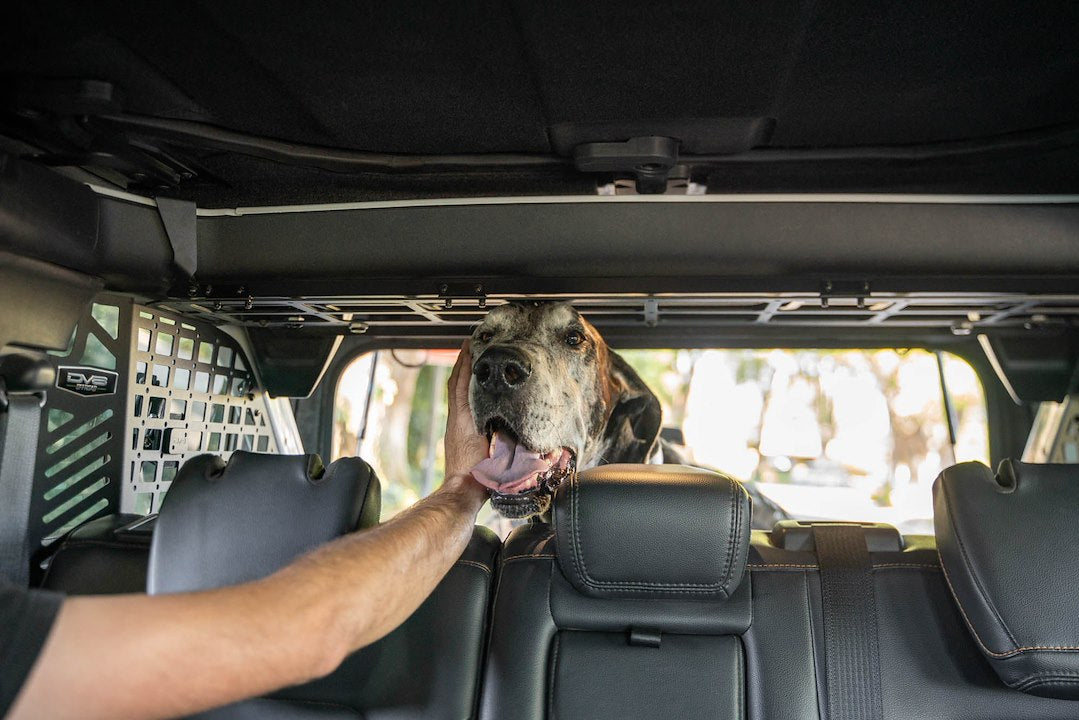 DV8 Offroad MPBR-10 Pet Separation Barrier