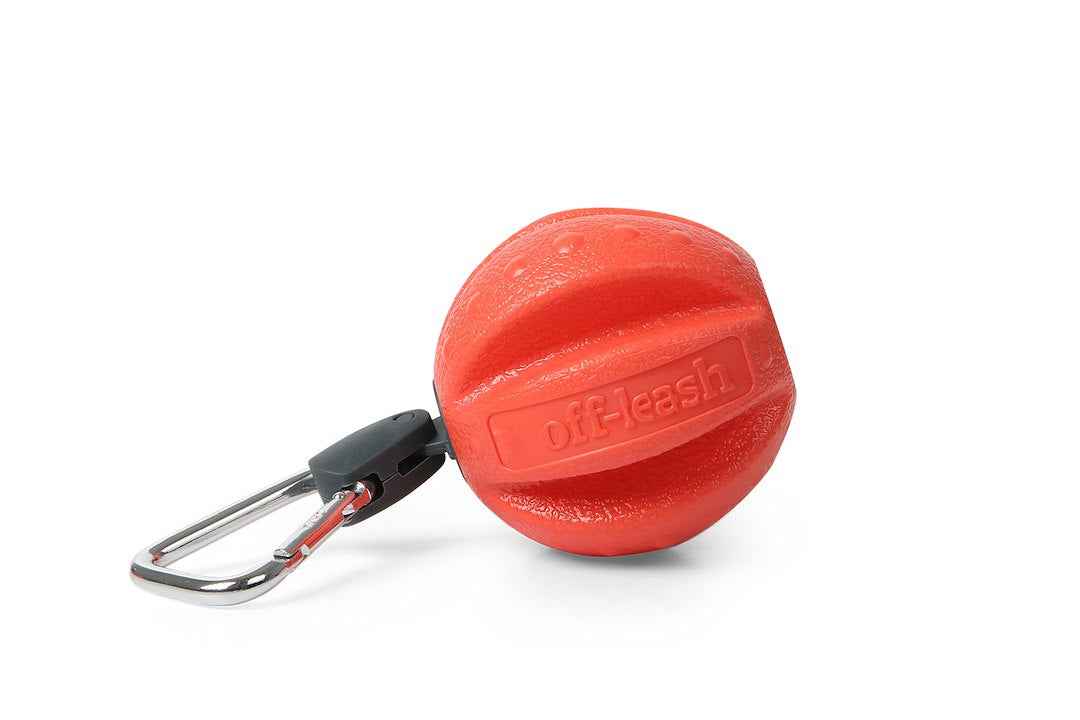 Dexas International PWT0112027 Off Leash Reaction Ball for Dogs