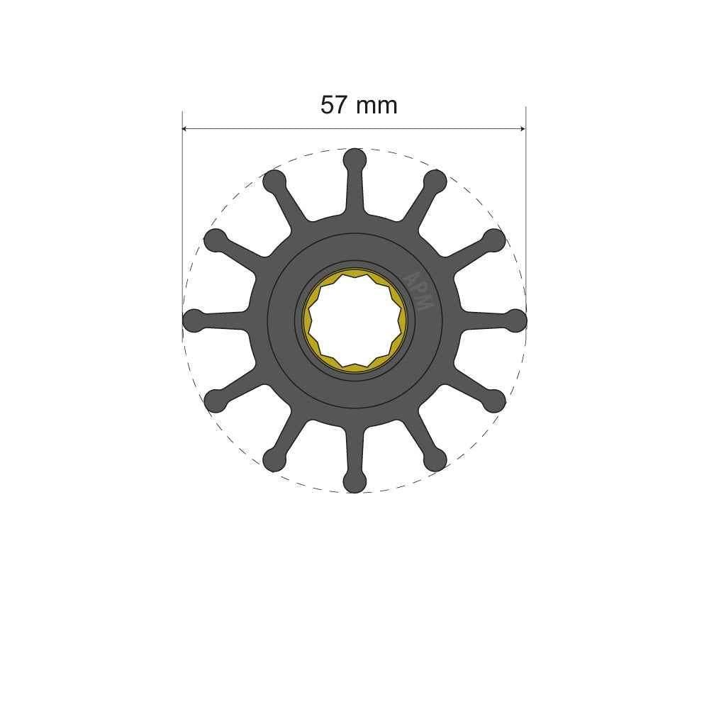 Albin 06-01-014 Premium Impeller Kit for Marine Cooling Pumps