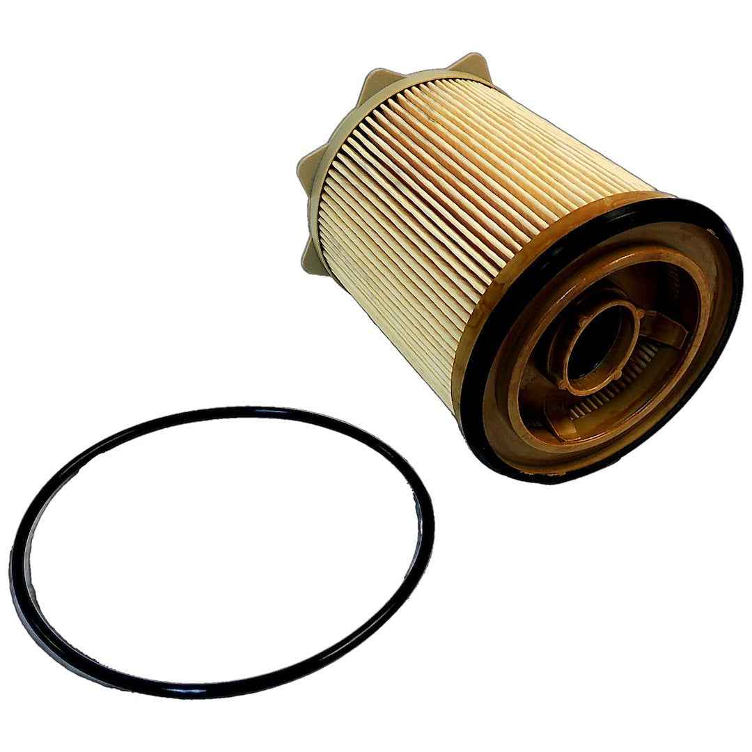 Crown Automotive 68157291AA Paper Fuel Filter with Gasket, White