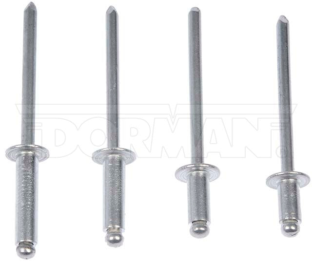 Dorman OE Solutions 961-025 Domed Aluminum Rivet Set - image 1
