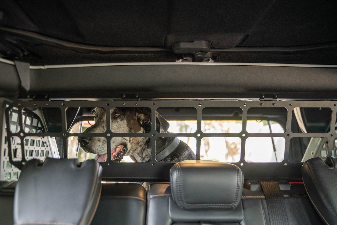 DV8 Offroad MPBR-10 Pet Separation Barrier