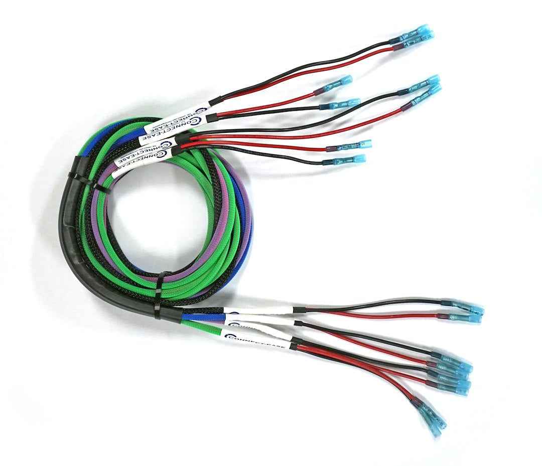 Connect-Ease RCE12VLTN Yak-Ease Lightnin Four-Zone Lighting Kit