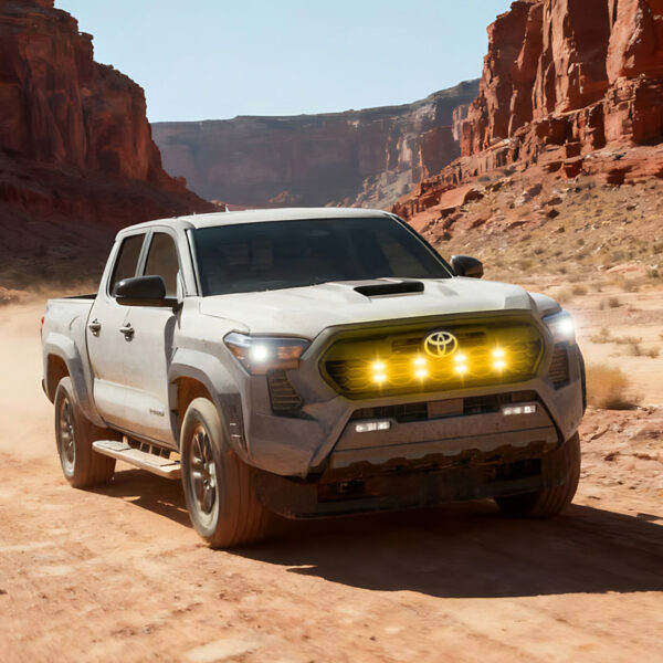 ARC Lighting 43TD8 Tacoma Tiny Monster Grille Lights, Set of 8 - image 5