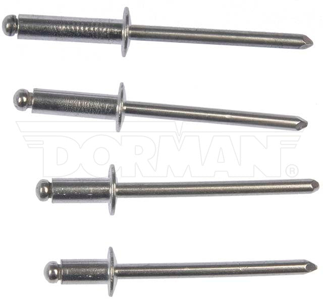 Dorman OE Solutions 961-025 Domed Aluminum Rivet Set - image 2