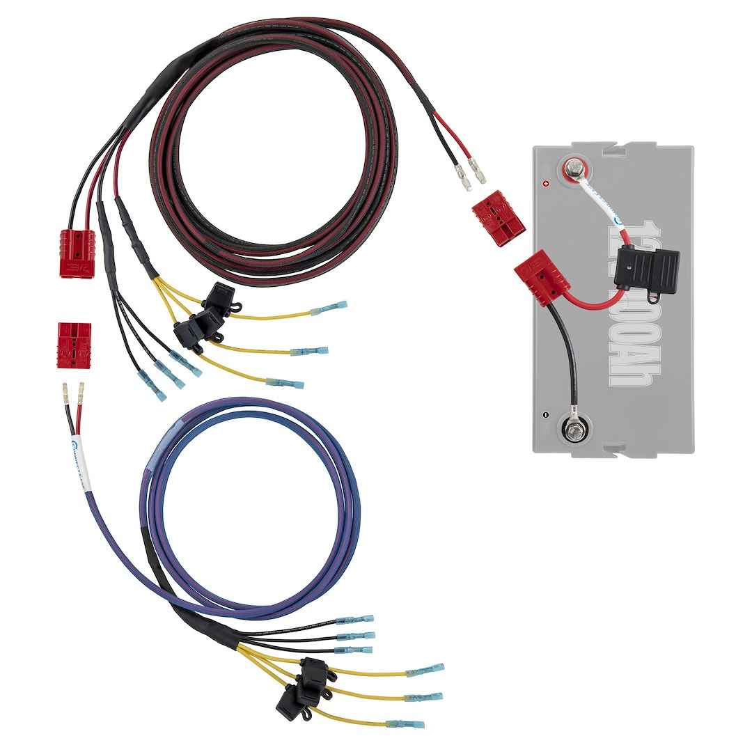 Connect-Ease RCE12VGRP1618 Graph Power Rigger Battery Harness