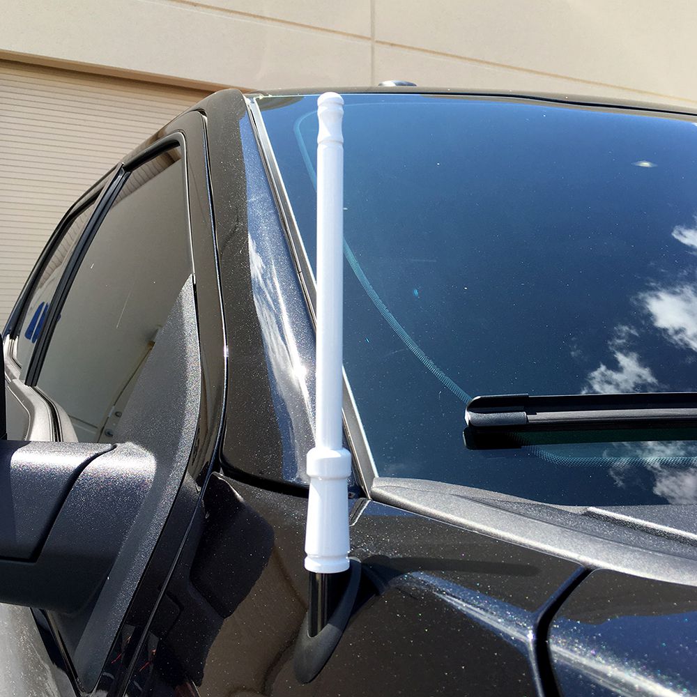 Recon 264antbk Universal-Design Antenna Mast