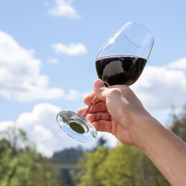 Silwy Magnetic S025-1301-2 Drinking Glass - image 6