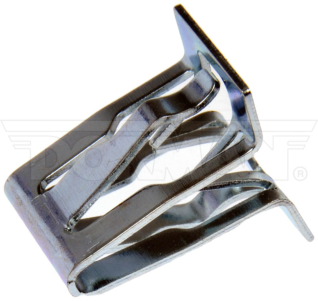 Dorman 963-211d OEM Interior-Panel Clip Set - image 1