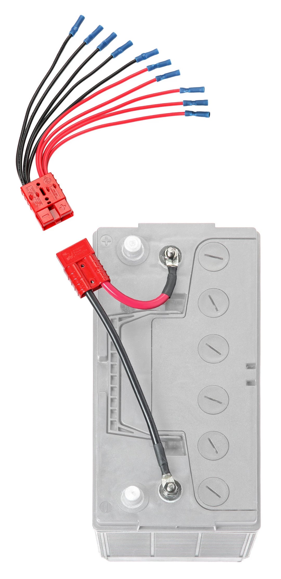 Connect-Ease CE12VB5K Five-Device Battery Connection Kit - image 2