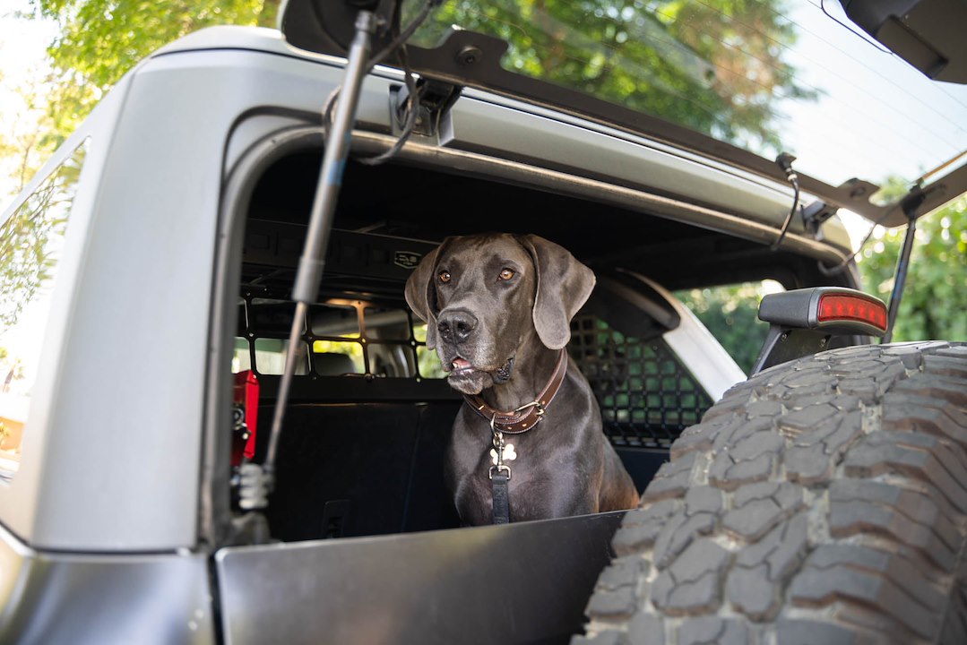 DV8 Offroad MPBR-10 Pet Separation Barrier