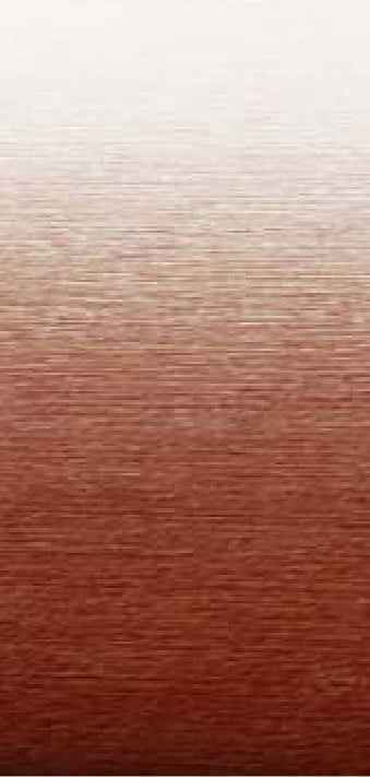 Velarium VR16005000 16' Electric RV Patio Awning – Burgundy Fade with LED Light