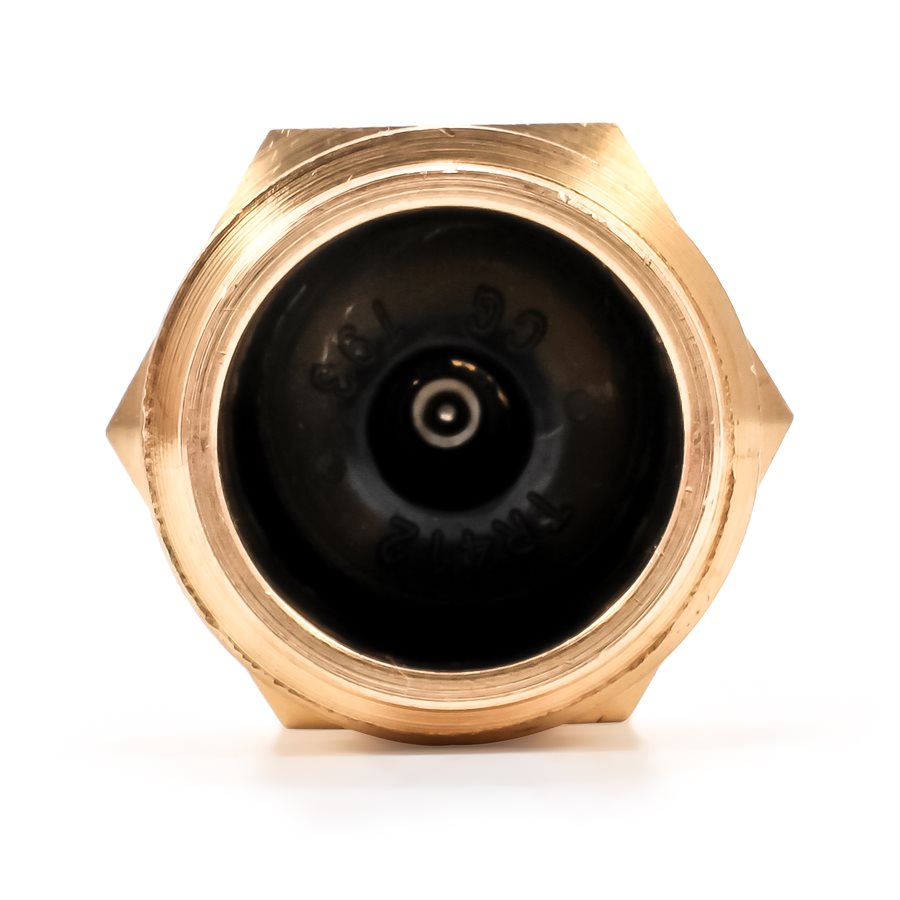 Camco Water System Blow Out Plug (36153) – Material: Brass