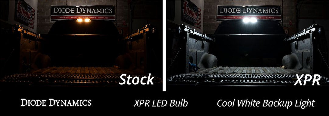 Diode Dynamics Dd0394p XPR LED Reverse Bulb Pair