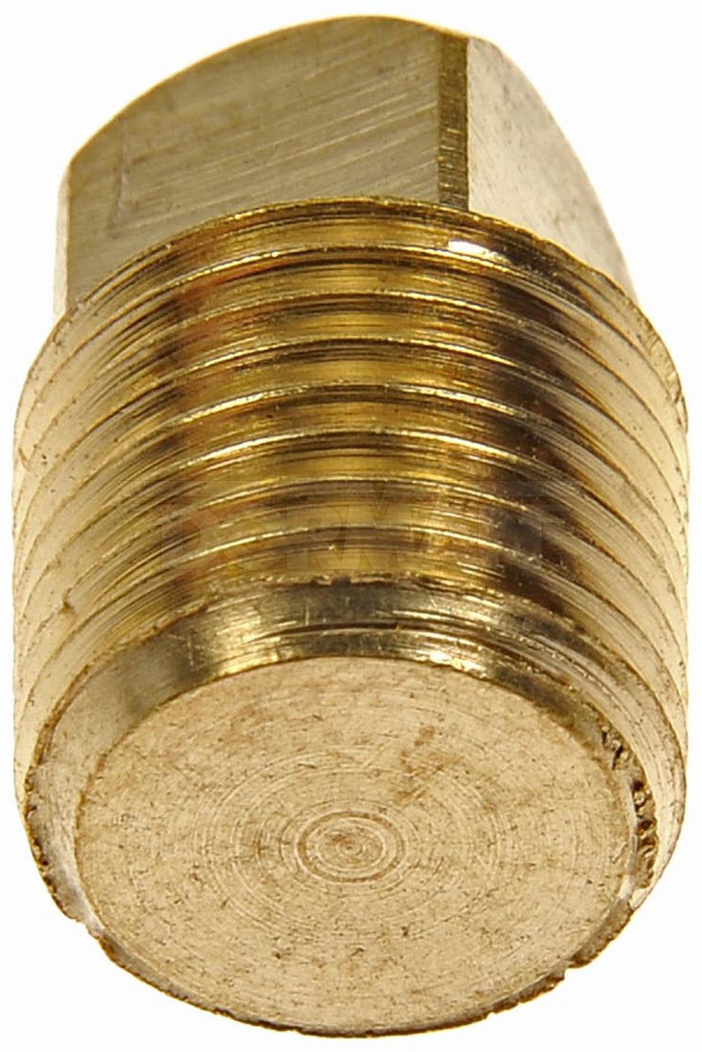 Dorman (OE Solutions) 785-070d Square-Drive Brass Pipe Closure - image 2