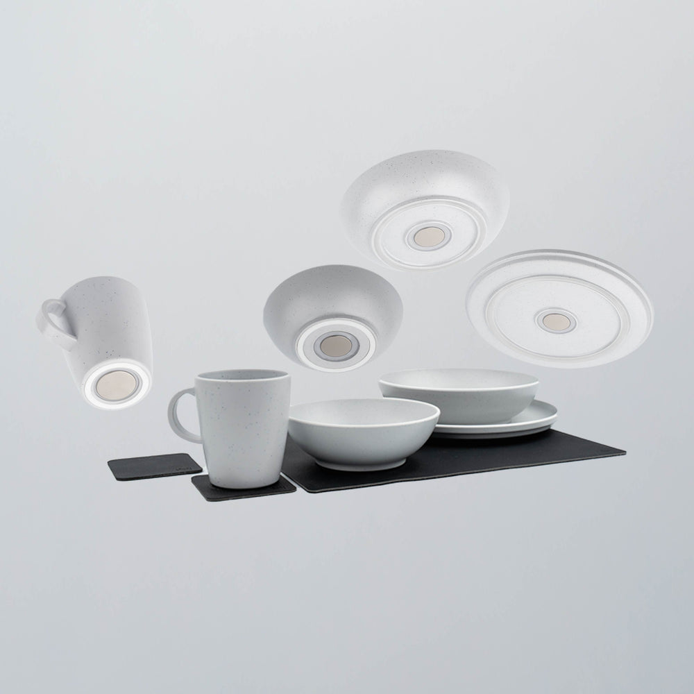 Silwy Magnetic Sybr-Kgs-11-Lg Dish Set - image 1