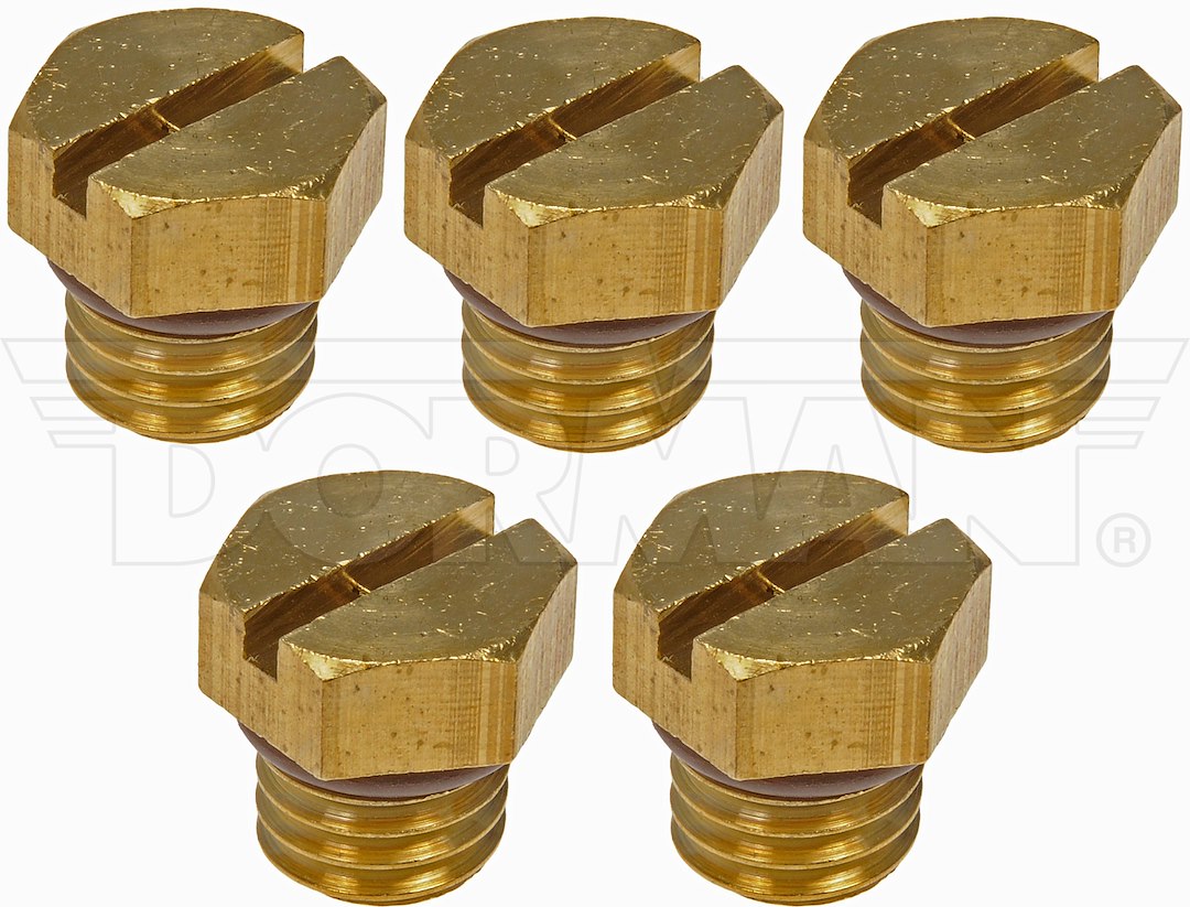 Dorman (OE Solutions) 904112HP Brass Fuel Filter Bleeding Screw Set - image 1