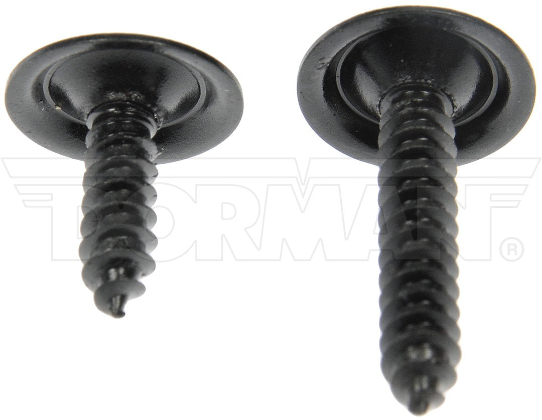 Dorman OE Solutions 961-205d Oval-Head Trim Screw Set - image 2