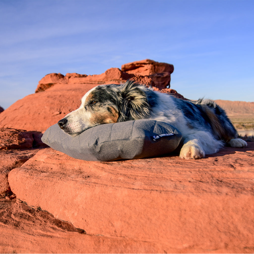 Klymit Pillow 12lpgy01d