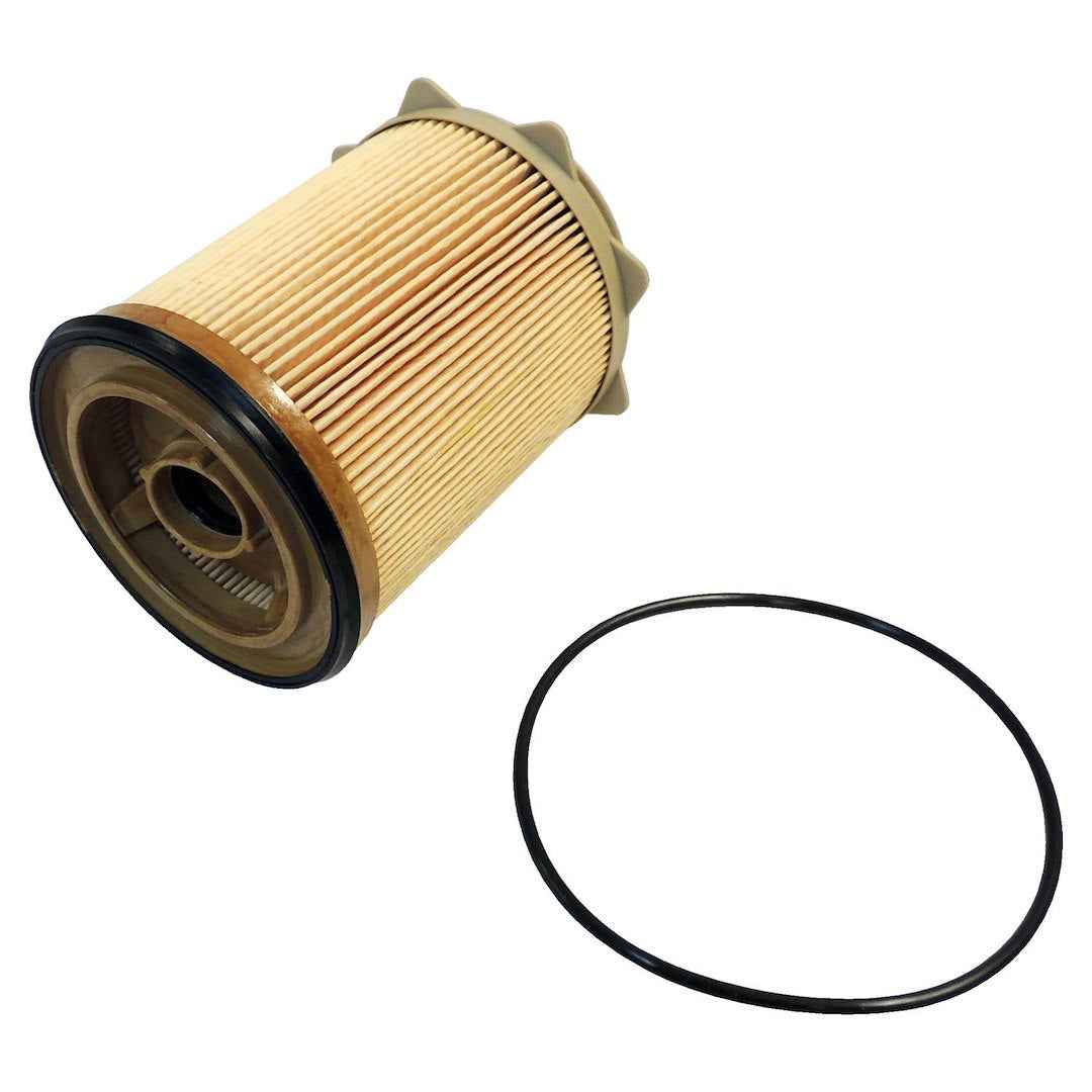 Crown Automotive 68157291AA Paper Fuel Filter with Gasket, White