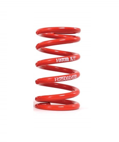 H&R Springs R25100100 Race Series Coil Spring
