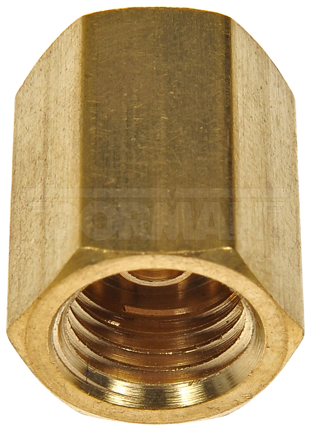 Dorman (OE Solutions) 788-523 Brass M10 Inverted-Flare Connector - image 2