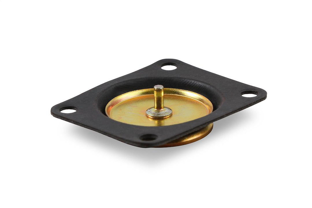 Holley 12-807 Pump Diaphragm Service Kit