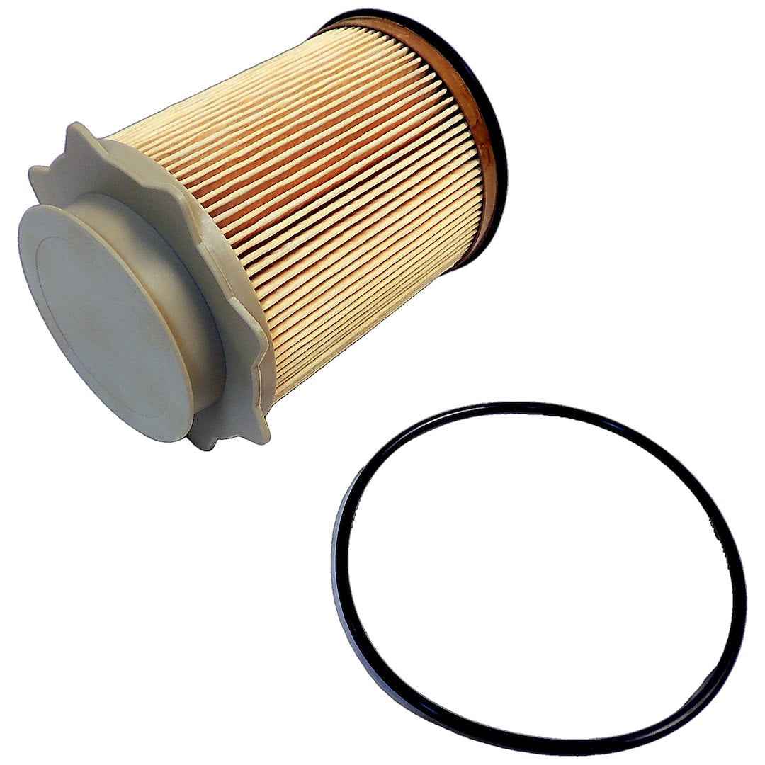 Crown Automotive 68157291AA Paper Fuel Filter with Gasket, White