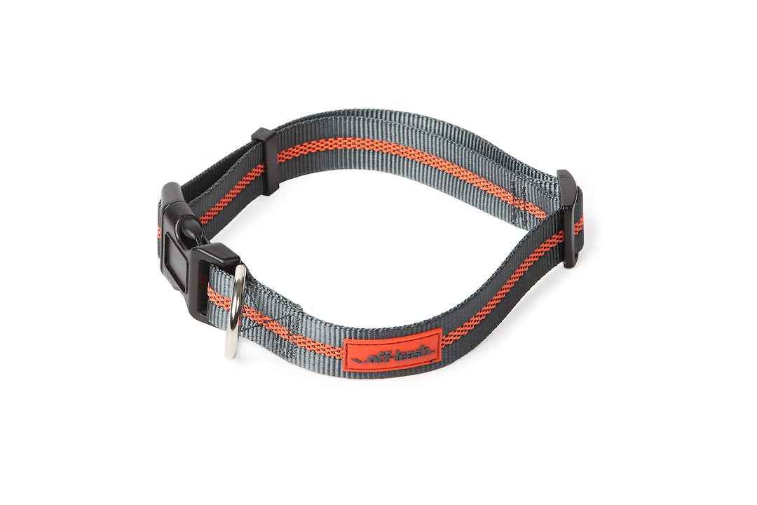 Dexas International PWC0304322 Large Dog and Cat Collar