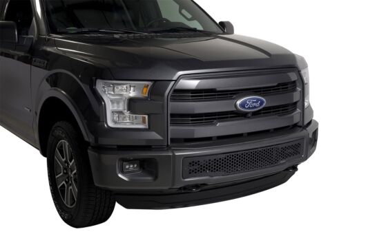 Putco 88160 F-150 Punch-Style Bumper Insert