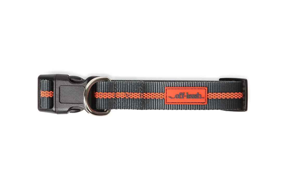 Dexas International PWC0204322 Medium Dog and Cat Collar