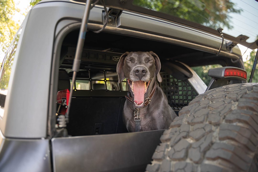 DV8 Offroad MPBR-10 Pet Separation Barrier